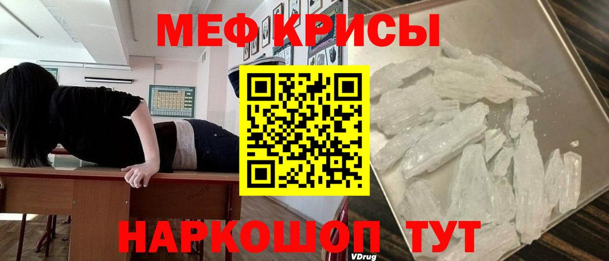 Сертолово  МЕФ VHQ  МЕФ  Вход с VPN  МЯУ-МЯУ 