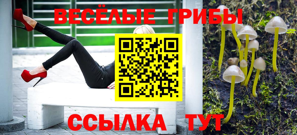 Псилоцибиновые грибы Psilocybine cubensis  Псилоцибиновые грибы Magic Shrooms  Сертолово  Вход с VPN 