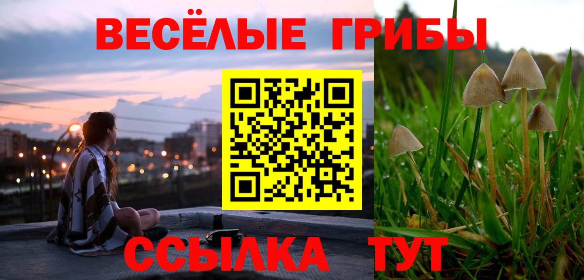 Псилоцибиновые грибы GOLDEN TEACHER Сертолово